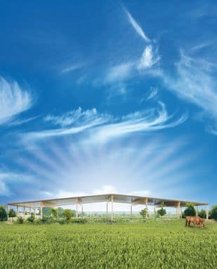 Reitplatzüberdachung bauen