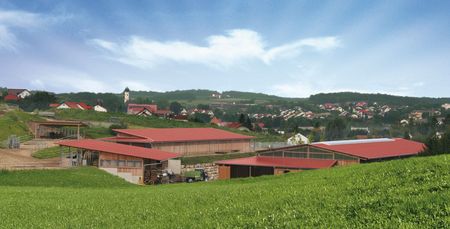 Groha Pferdesport individuelle Reitanlage