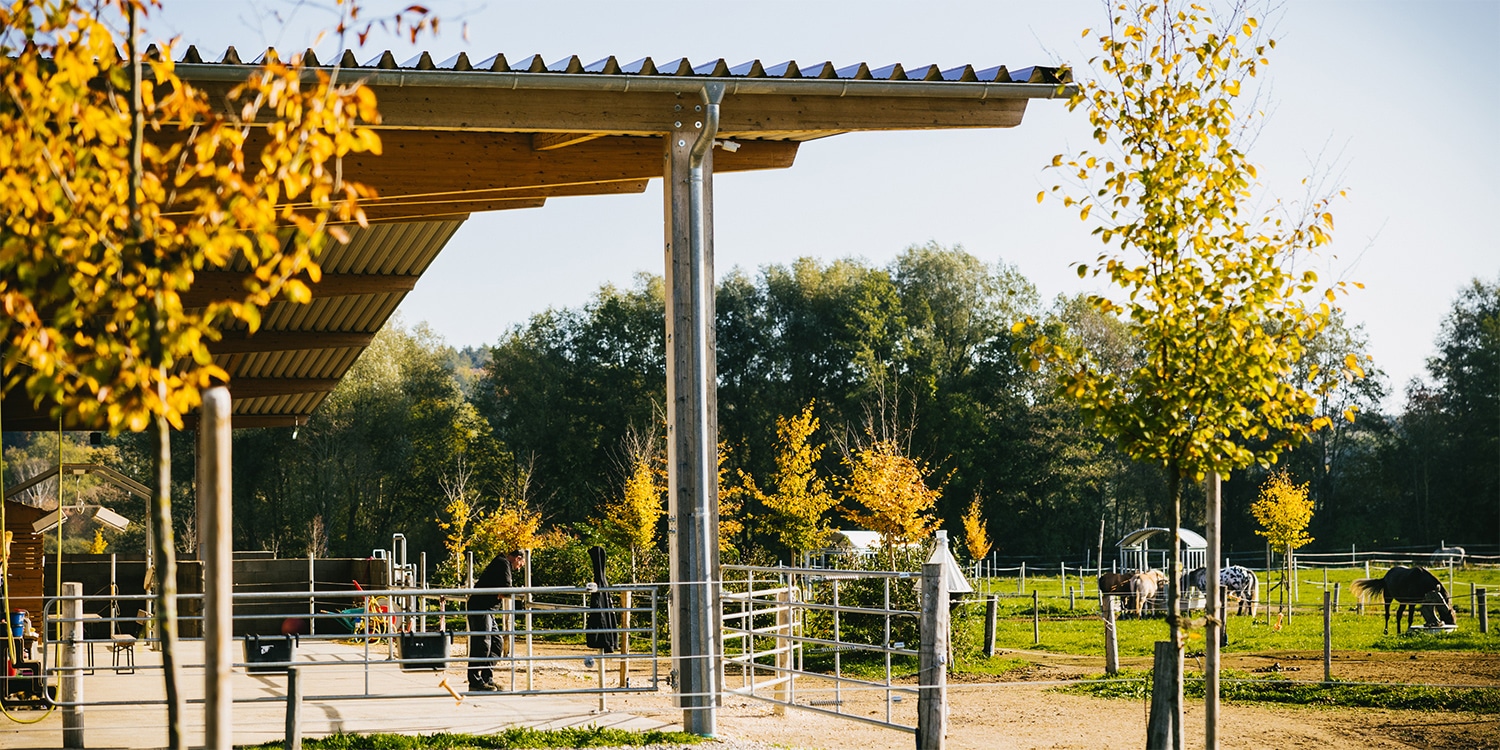 groha-easer-pferdesport-stallungen